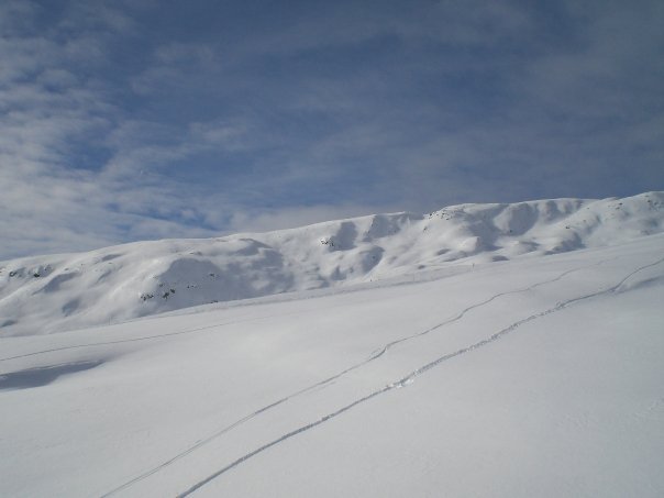 poche linee